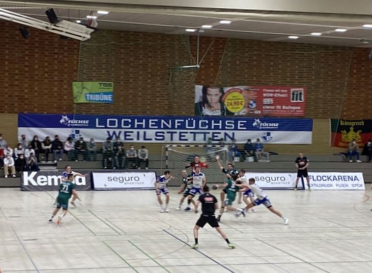 Lochenfüche 1